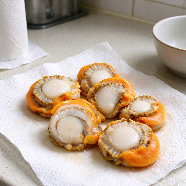 Fresh Whole Scallops On Shell