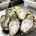 Fresh Raw Oysters On Shell